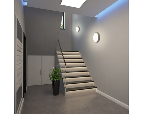 Настенно-потолочный светильник AL3020 41772 Feron