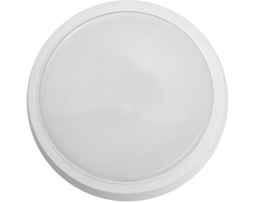 Настенно-потолочный светильник AL3020 41772 Feron