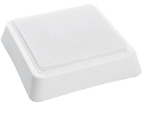 Настенно-потолочный светильник AL3021 41774 Feron