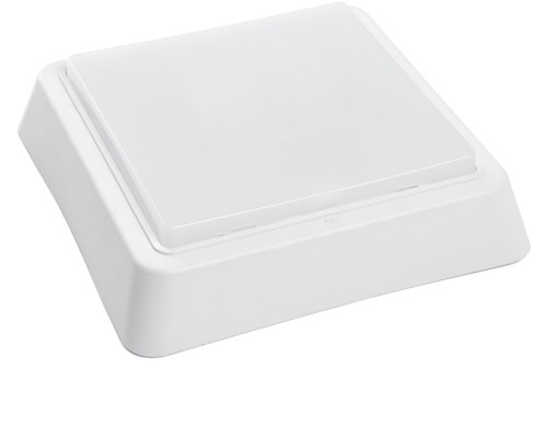 Настенно-потолочный светильник AL3021 41774 Feron