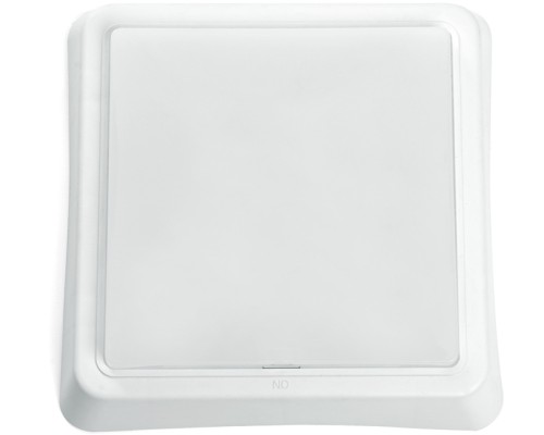 Настенно-потолочный светильник AL3021 41775 Feron