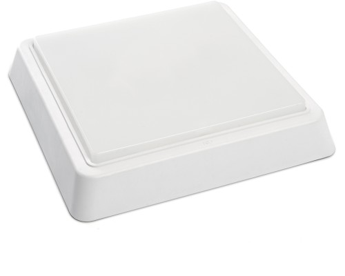 Настенно-потолочный светильник AL3021 41776 Feron