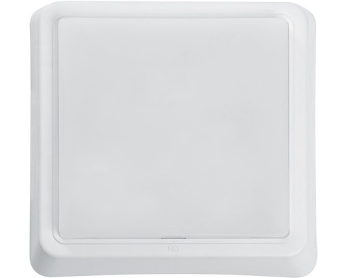 Настенно-потолочный светильник AL3021 41776 Feron