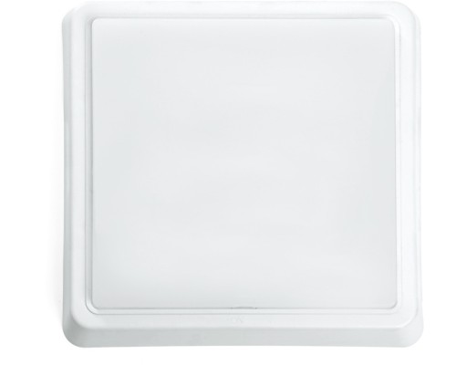 Настенно-потолочный светильник AL3021 41779 Feron