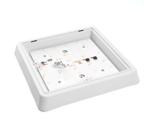 Настенно-потолочный светильник AL3021 41781 Feron