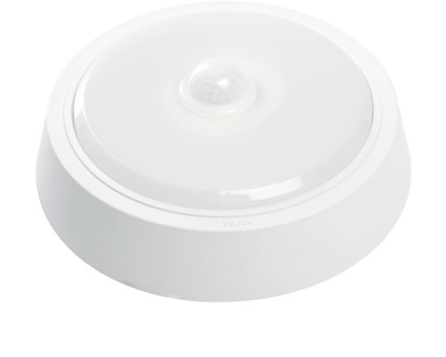 Настенно-потолочный светильник AL3022 41790 Feron