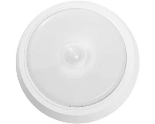 Настенно-потолочный светильник AL3022 41791 Feron