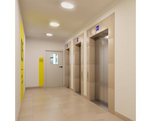 Настенно-потолочный светильник AL3022 41792 Feron