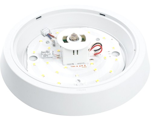 Настенно-потолочный светильник AL3022 41793 Feron