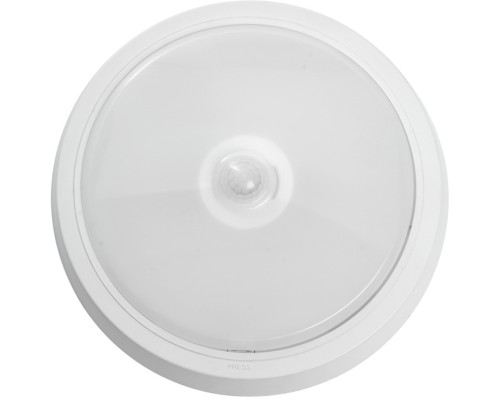 Настенно-потолочный светильник AL3022 41795 Feron