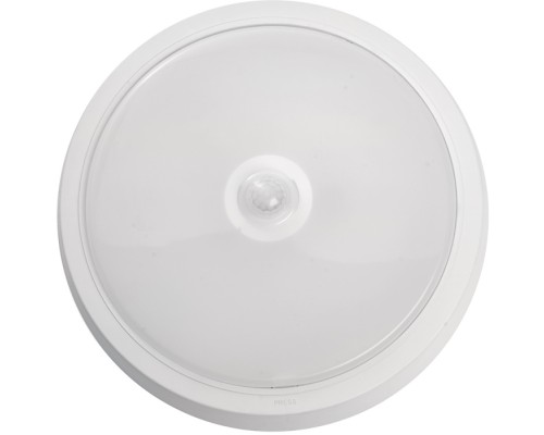 Настенно-потолочный светильник AL3022 41796 Feron