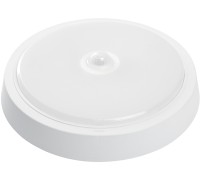 Настенно-потолочный светильник AL3022 41797 Feron