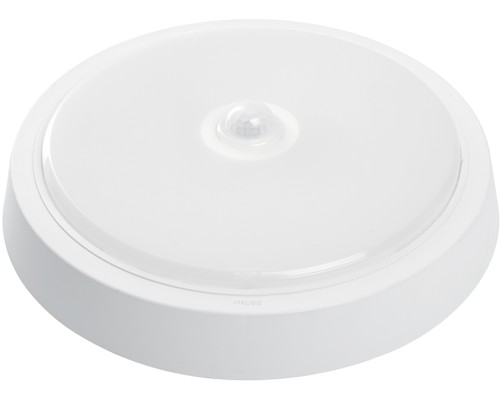 Настенно-потолочный светильник AL3022 41797 Feron