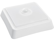 Настенно-потолочный светильник AL3023 41799 Feron