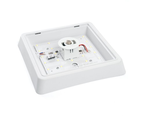 Настенно-потолочный светильник AL3023 41801 Feron