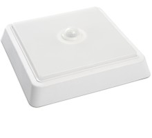 Настенно-потолочный светильник AL3023 41802 Feron