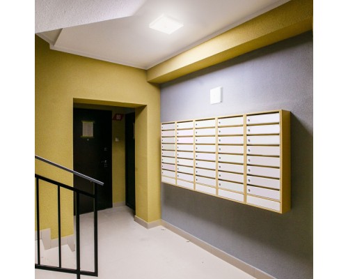 Настенно-потолочный светильник AL3023 41802 Feron