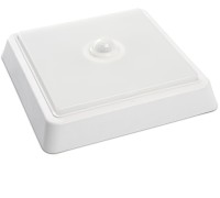 Настенно-потолочный светильник AL3023 41803 Feron