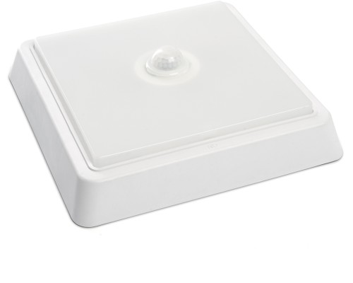 Настенно-потолочный светильник AL3023 41803 Feron