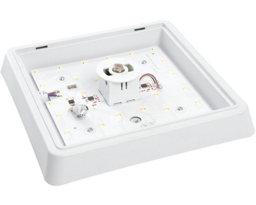 Настенно-потолочный светильник AL3023 41805 Feron