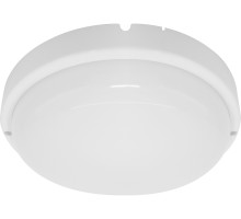 Настенно-потолочный светильник AL3018 41893 Feron