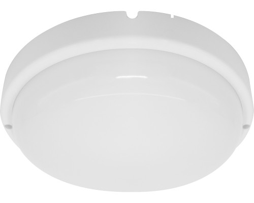 Настенно-потолочный светильник AL3018 41893 Feron