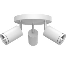 Спот ML203-1 41923 Feron