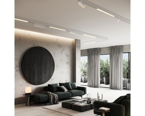 Трековый светильник MGN302 41937 Feron