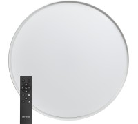 Потолочный светильник Simple matte 48072 Feron