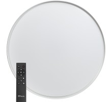 Потолочный светильник Simple matte 48072 Feron