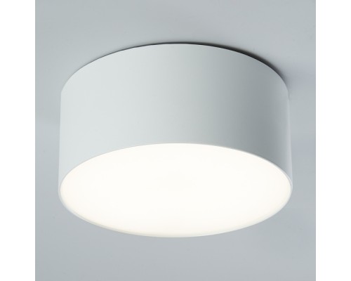 Потолочный светильник AL200 48076 Feron