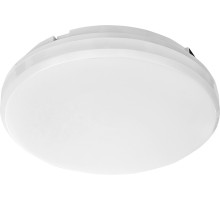 Потолочный светильник  48296 Feron