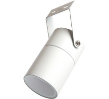 Прожектор уличный Бостон 48319 Feron