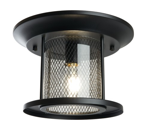 Потолочный светильник уличный Бордо 48387 Feron