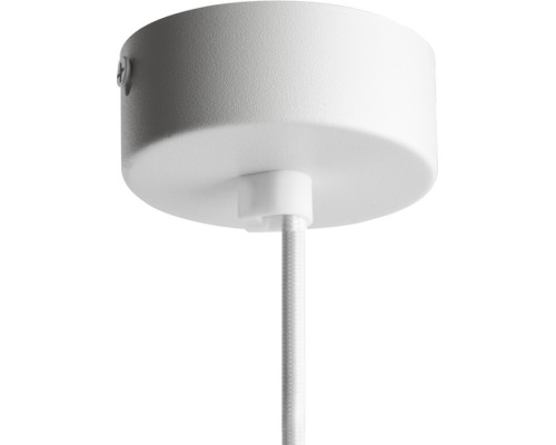 Подвесной светильник Barrel 48395 Feron