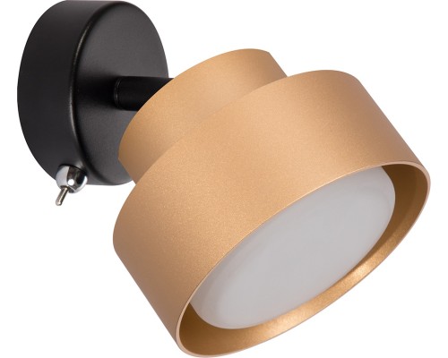 Спот  48414 Feron