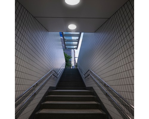 Потолочный светильник уличный  48516 Feron