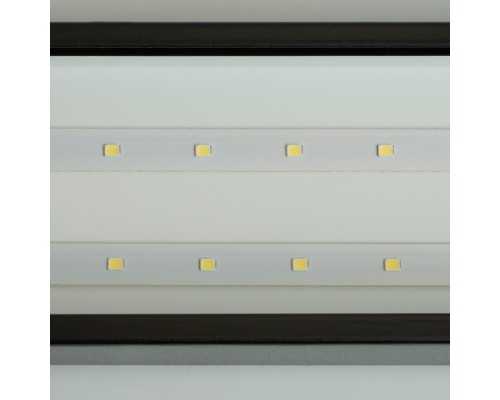 Настенно-потолочный светильник AL4030 48535 Feron