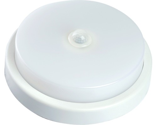 Потолочный светильник  48564 Feron