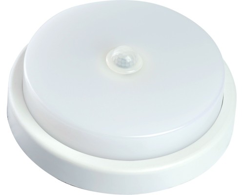 Потолочный светильник  48565 Feron