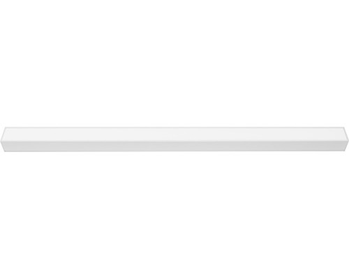 Настенно-потолочный светильник AL4035 48592 Feron