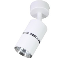 Спот  48642 Feron