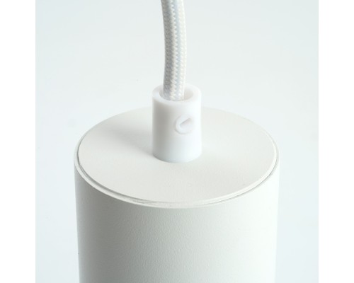 Подвесной светильник Barrel 48648 Feron