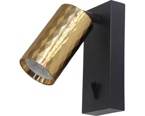 Спот  48671 Feron