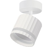 Спот  48683 Feron