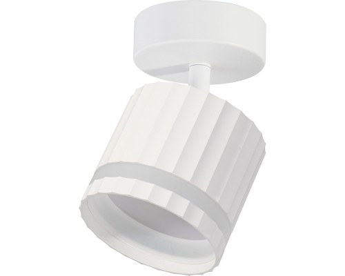 Спот  48683 Feron