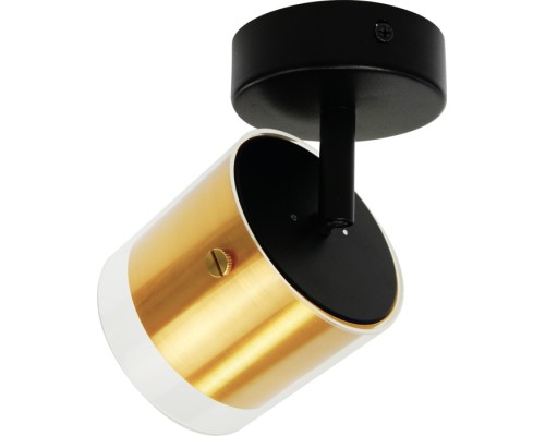 Спот  48797 Feron