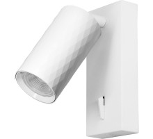 Спот  48799 Feron