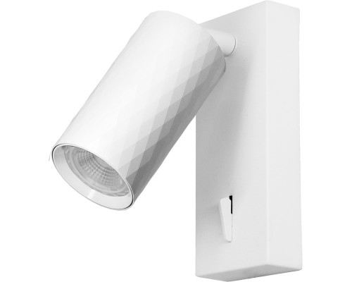 Спот  48799 Feron