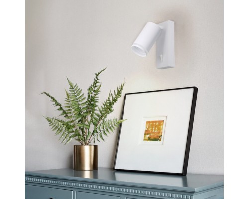 Спот  48811 Feron